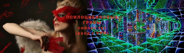 прущие крисы Медногорск